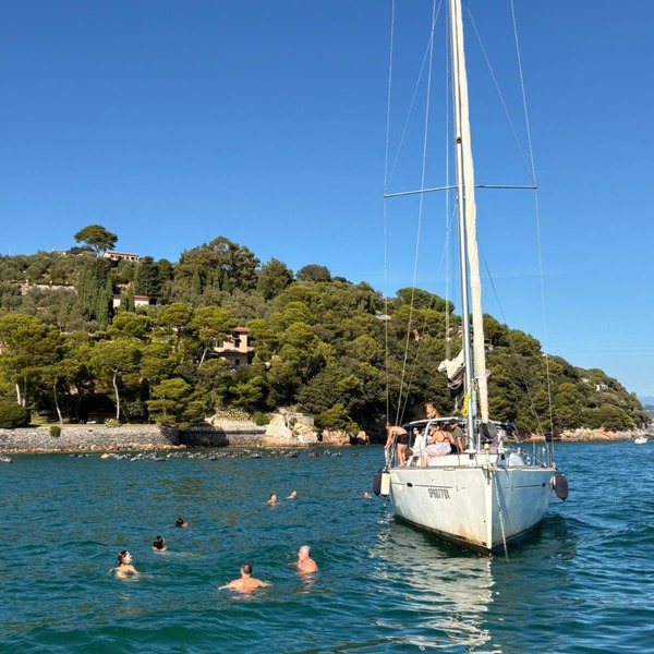 3353cd8d-7319-43d4-a32e-6f78bad6475e